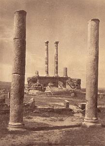 VESTIGES ROMAINS ET HAUTS PLATEAU 00030 TIMGAD LE CAPITOLE